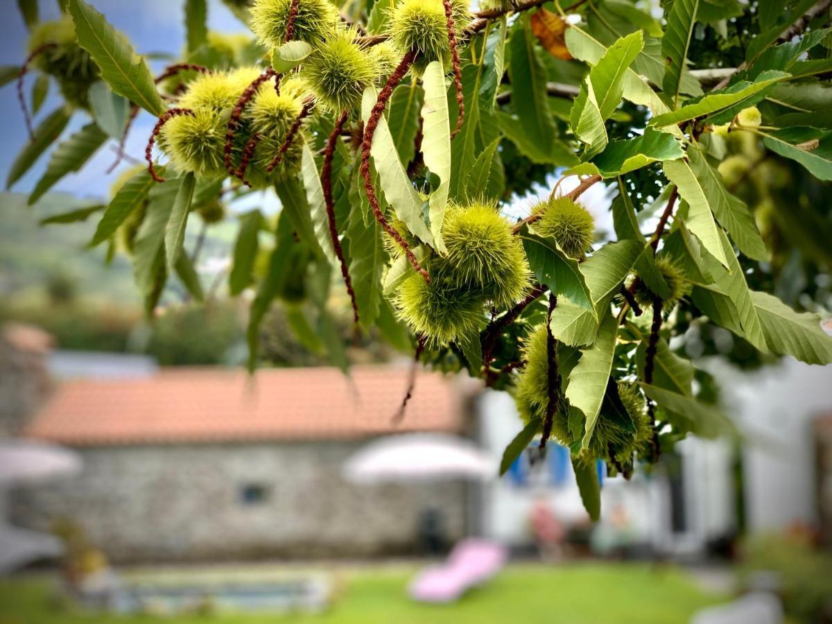 Casa Do Milhafre - Villaverde Azores Feteiras Dış mekan fotoğraf